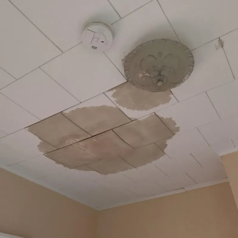 Ceiling Water Damage Repair in Newfield, ME