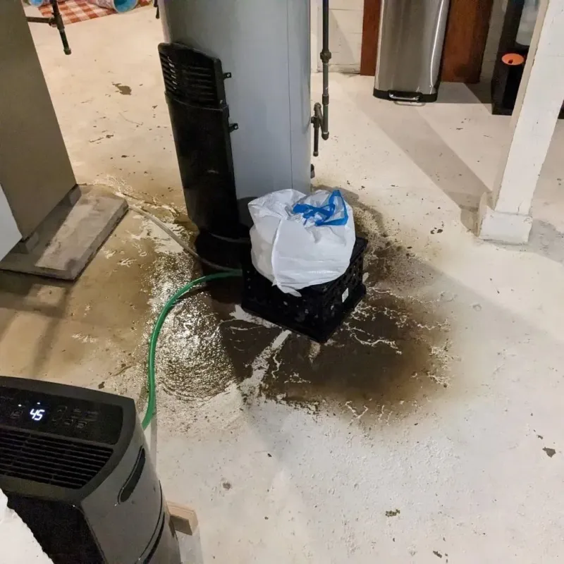 Sewage Backup Cleanup Service in Newfield, ME